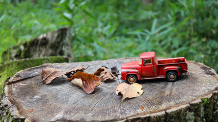 枯れ葉とピックアップトラック