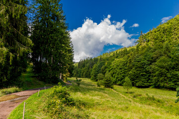 Fototapeta premium Spätsommerwanderung durch den Thüringer Wald bei Kleinschmalkalden