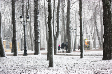 Snow-covered city park in the afternoon. People - family with small child - strolling between tree silhouettes in snowfall. Walks in the fresh air. Trees without leaves in a snow-covered winter square