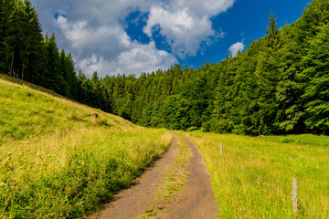 Spätsommerwanderung durch den Thüringer Wald bei Kleinschmalkalden