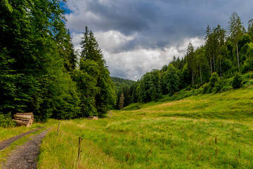 Fototapeta na wymiar Spätsommerwanderung durch den Thüringer Wald bei Kleinschmalkalden