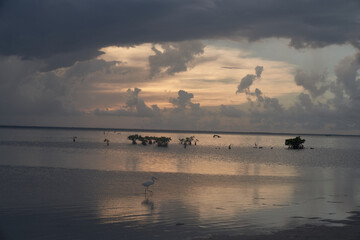high tide close-up in the evening on the ocean