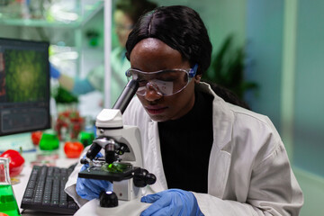 African american botanist looking at leaf sample using medical microscope during biochemistry experiment in biological hospital laboratory. Researcher woman analyzing at genetically modified plant