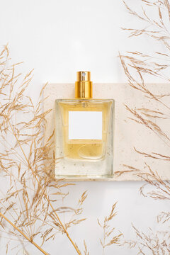 Transparent bottle of perfume on stone plate on a white background. Fragrance presentation with daylight. Trending concept in natural materials with dry plant. Women's and men's essence.