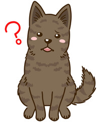 疑問に思う甲斐犬（赤虎毛）