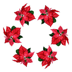 Watercolor christmas wreath with poinsettia. New year wreath for design, print or background