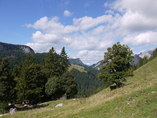 Die Kammerlingalm