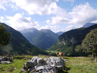 Die Kammerlingalm