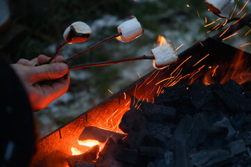 Roasting and cooking marshmallow on a fire at the evening. Close up.