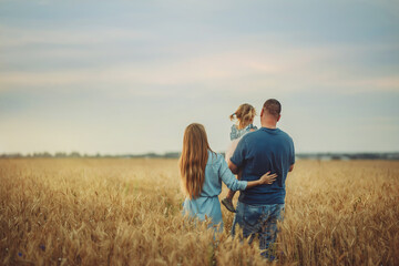 Naklejka na ściany i meble mom and dad with a baby in their arms stand with their backs in a wheat field and look into the distance