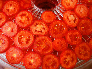 raw slices of juicy red tomato lie on the pallet of an electric dryer. top view . drying tomatoes