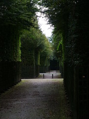 In the alleys of the Versailles gardens. The 20th September 2021, Versailles, France.