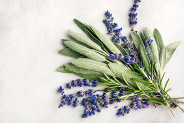 Fresh spicy herbs. Sage leaves, lavender and rosemary.