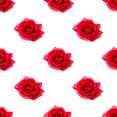 Beautiful seamless floral pattern with fresh red roses isolated on white background.
