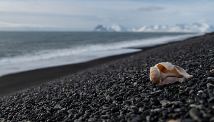 Strand mit Muschel Island