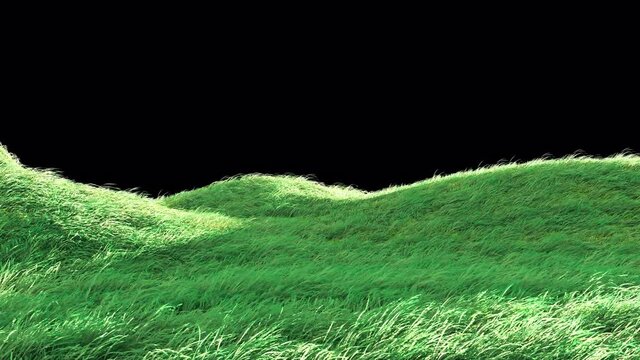 3d animation, 3d rendering, animation, background, blow, design, environment, farm, field, fresh, freshness, garden, grass, grass blowing in the wind, green, growing, growth, isolated, land, lawn, mea