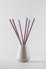 Fototapeta na wymiar Vase and incense sticks. Interior perfume concept. Copy space.