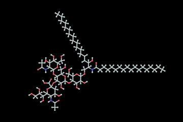 Molecule of Ganglioside GM2