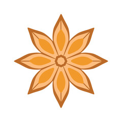 A colored star anise icon. Star anise is real - the fruits of an evergreen tree. Spices and seasonings. Vector illustration isolated on a white background for design and web.