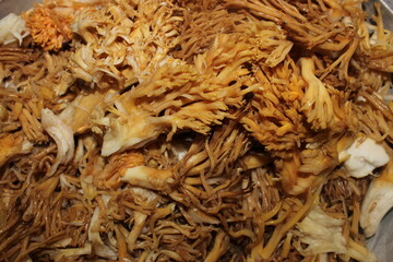 colorful season, beautiful flowers, harves, grapes, colorful leaves, fall 