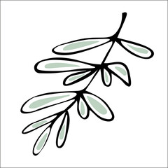 Naklejka premium Beauty hand drawn herbal elements. A simple, decorative, botanical twig. Doodle for social media stories. Black and white vector for holiday designs, wedding invitations, logos and greeting cards.
