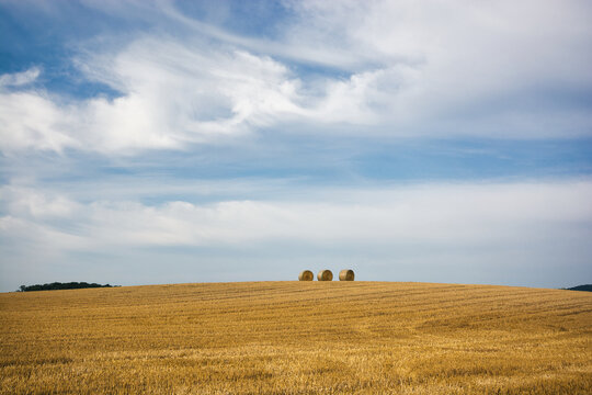 Morning on a field with three hay staples