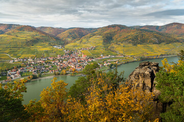Fototapeta na wymiar Weissenkirchen Wachau Austria in autumn colored leaves and vineyards