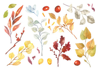 Watercolor hand painted fall boho botanical leaves and branch illustration isolated on white background