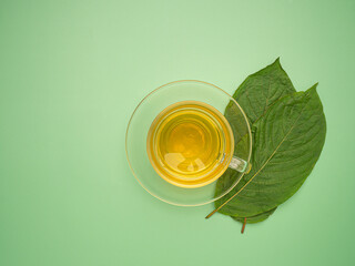 Top view of Mitragyna Speciosa or Kratom leaves with a teacup isolated on a green background with copy space for text. Close-up photo. Medical and herbal concept - obrazy, fototapety, plakaty