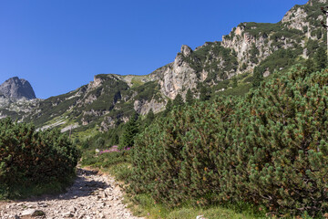 Fototapeta na wymiar Landscape of Malyovitsa river valley, Rila Mountain, Bulgaria