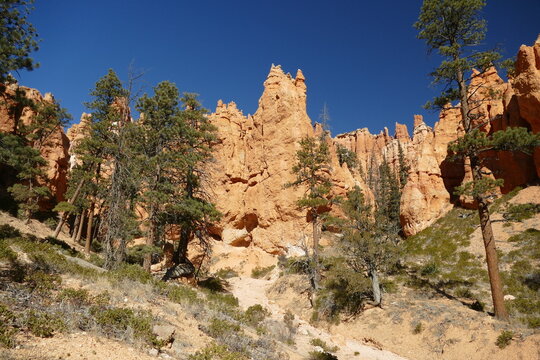 Bryce Canyon National Park, beautiful Bryce Amphitheater known for crimson-colored hoodoos, which are spire-shaped rock formations, popular tourist location, Utah, United States