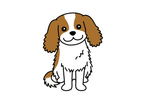 1 759 件の最適な キャバリア 画像 ストック写真 ベクター Adobe Stock