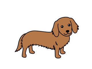 ダックスフンド