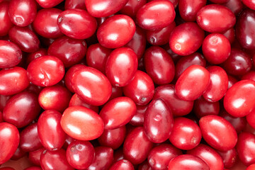Red ripe dogwood berries, close-up, top view.