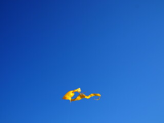 Big Flying yellow Kite on blue background