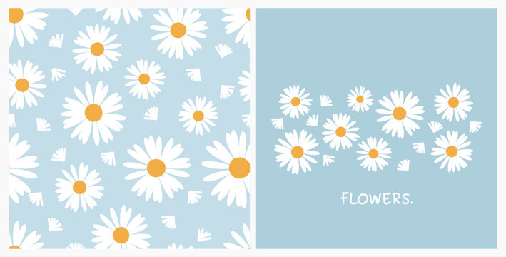 Set of daisy flower seamless pattern on blue backgrounds vector illustration.