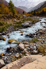 stream in the mountains
