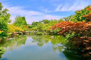 Naklejka na ściany i meble 初秋の日本庭園