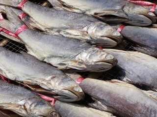 dry fish on the market