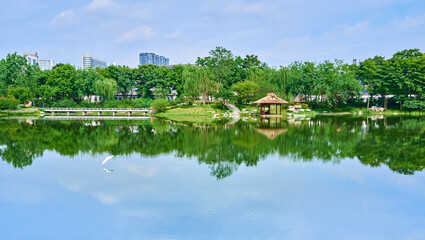 Fototapeta na wymiar A lake in a park in Chengdu, Sichuan, China