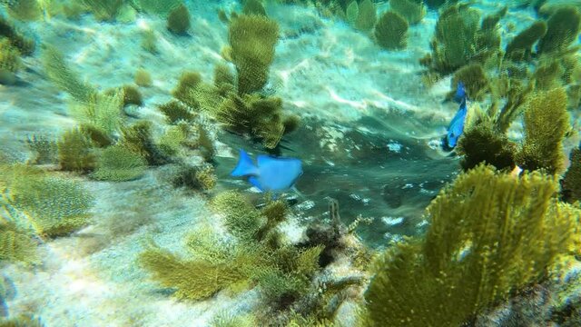 Natute Bilder Durchsuchen 844 Archivfotos, und Videos