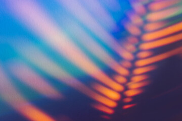 Abstract background with shadow from a palm leaf in neon light.