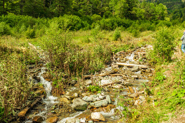 Beautiful mountain landscape, forest and clouds