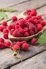 Appetizing juicy ripe raspberries in a bowl surrounded by green raspberry leaves on a wooden  background. Copy space