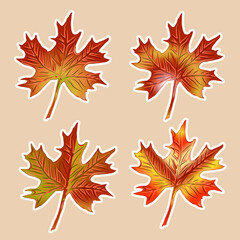 set of different autumn orange leaves isolated on beige background