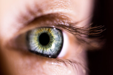 Eye