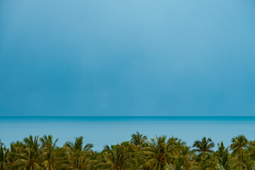 Dramatic clouds over turquoise sea. Palm trees in the foreground.