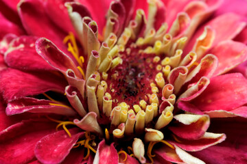 Art postcard macro photography