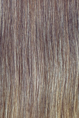 Brown hair close up for background. A lock of brown hair