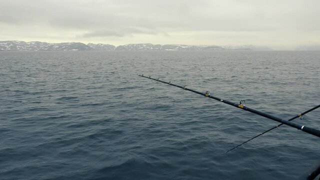 Two fishermen with spinning rods fish cod from deck of fishing boat in Barents Sea